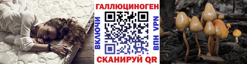 Псилоцибиновые грибы GOLDEN TEACHER  Электроугли 