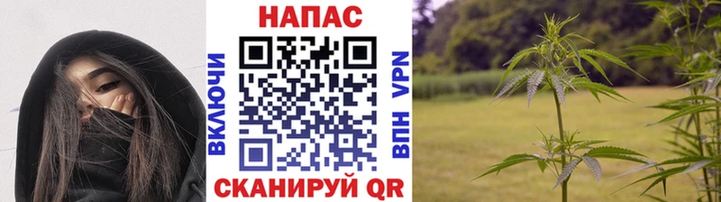 Каннабис White Widow  мега как зайти  Электроугли 
